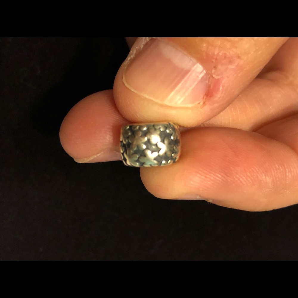 Multiple Pandora charms - Picture 2 of 3